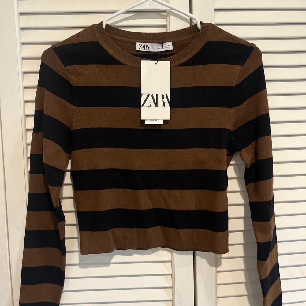 Zara Cropped Fitted Top.